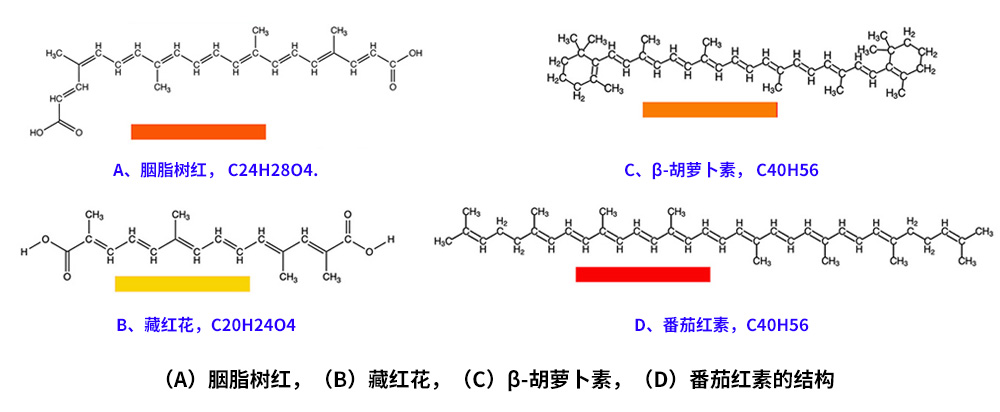 藏紅花、胭脂樹紅、β-胡蘿卜素、番茄紅素的化學(xué)結(jié)構(gòu)